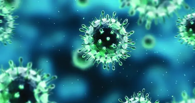 الاجسام المناعية