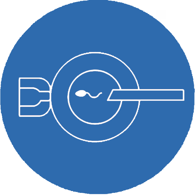 أفضل دكتور حقن مجهري في القاهرة مع د. أشرف صبري بخبرة ٢٠ عامًا لزيادة فرص الحمل بأحدث التقنيات. احجزي الآن عبر واتساب / تليفون +201022224442.